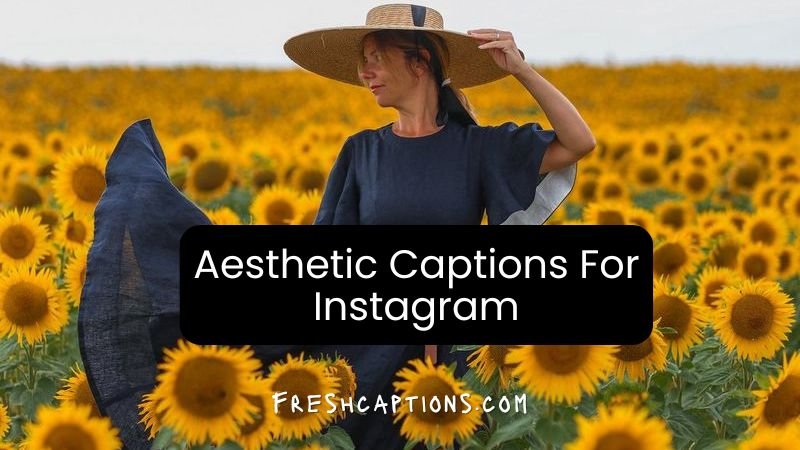 Aesthetic Captions