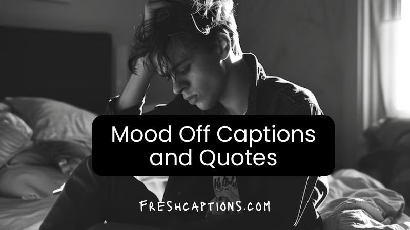 Mood Off Captions and Quotes